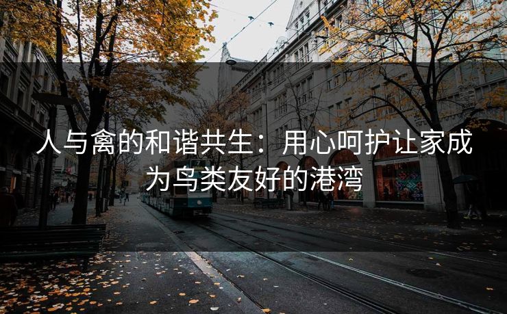人与禽的和谐共生:用心呵护让家成为鸟类友好的港湾 人与禽的和谐共生:用心呵护让家成为鸟类友好的港湾