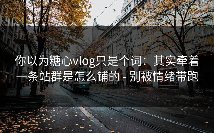 你以为糖心vlog只是个词：其实牵着一条站群是怎么铺的 - 别被情绪带跑